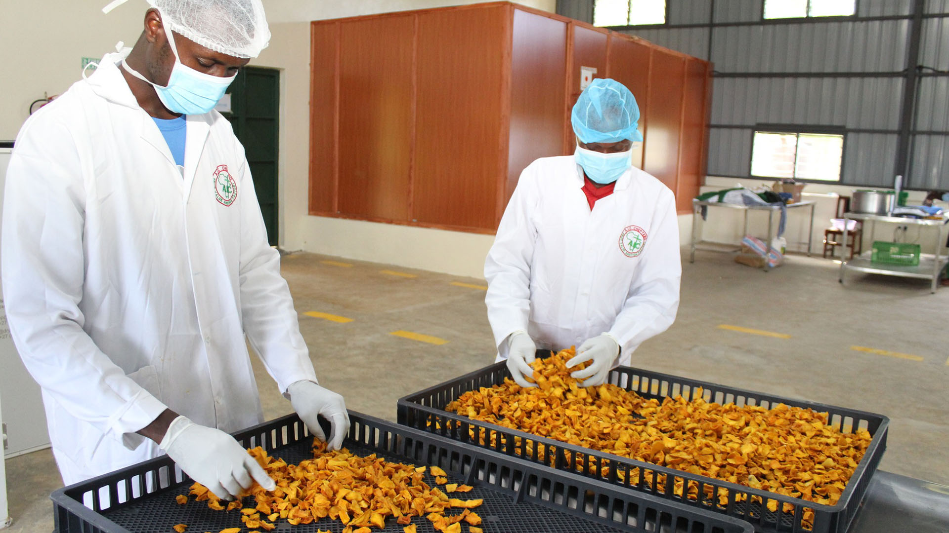 Cheptebo Mango Factory