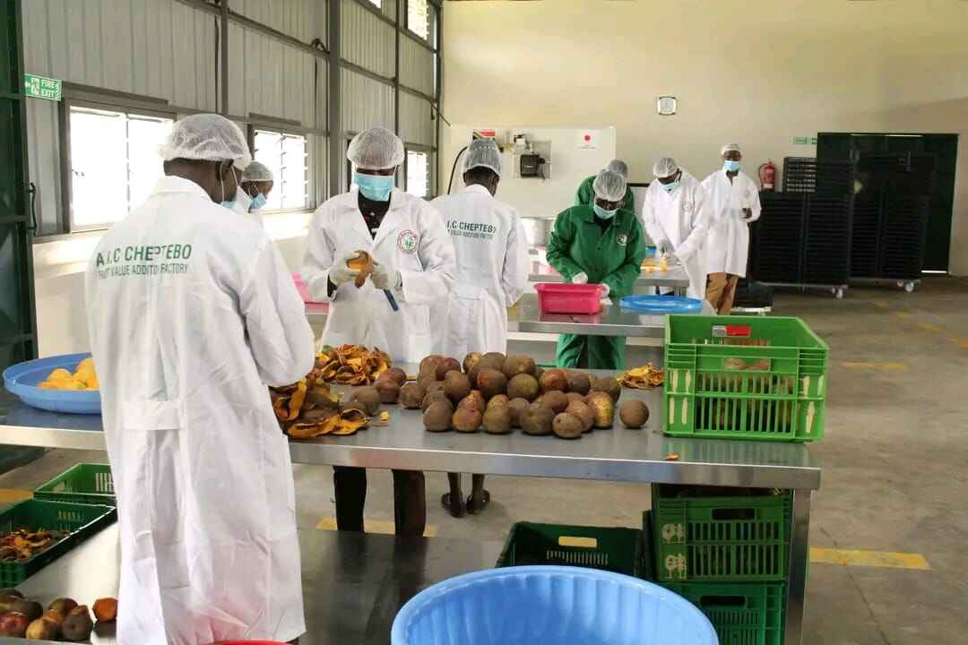 Value Addition Factory