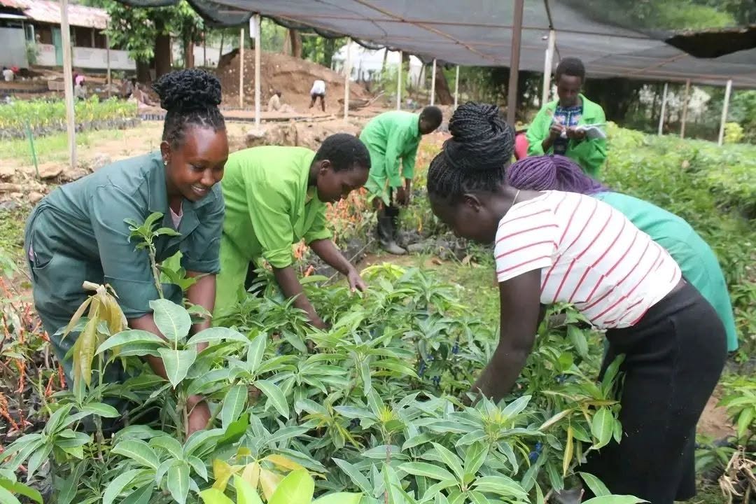 Practical Farm Training