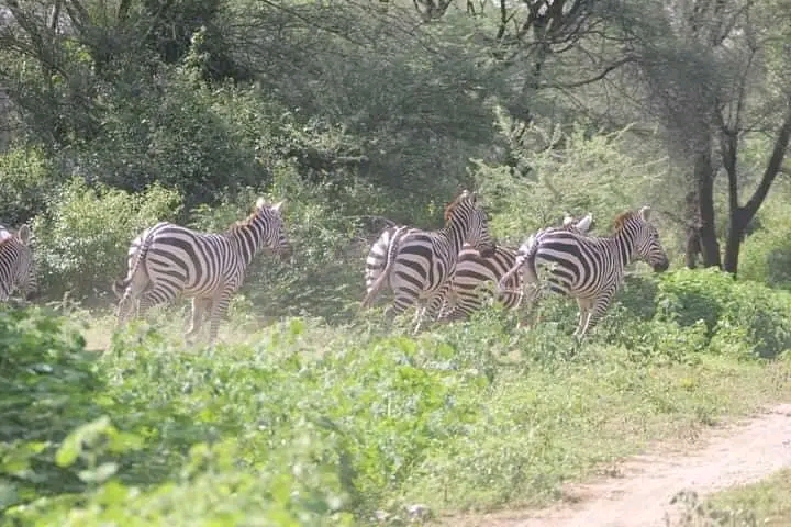 Rimoi National Reserve 2
