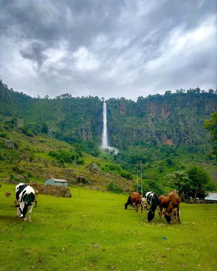 Torok Falls 2