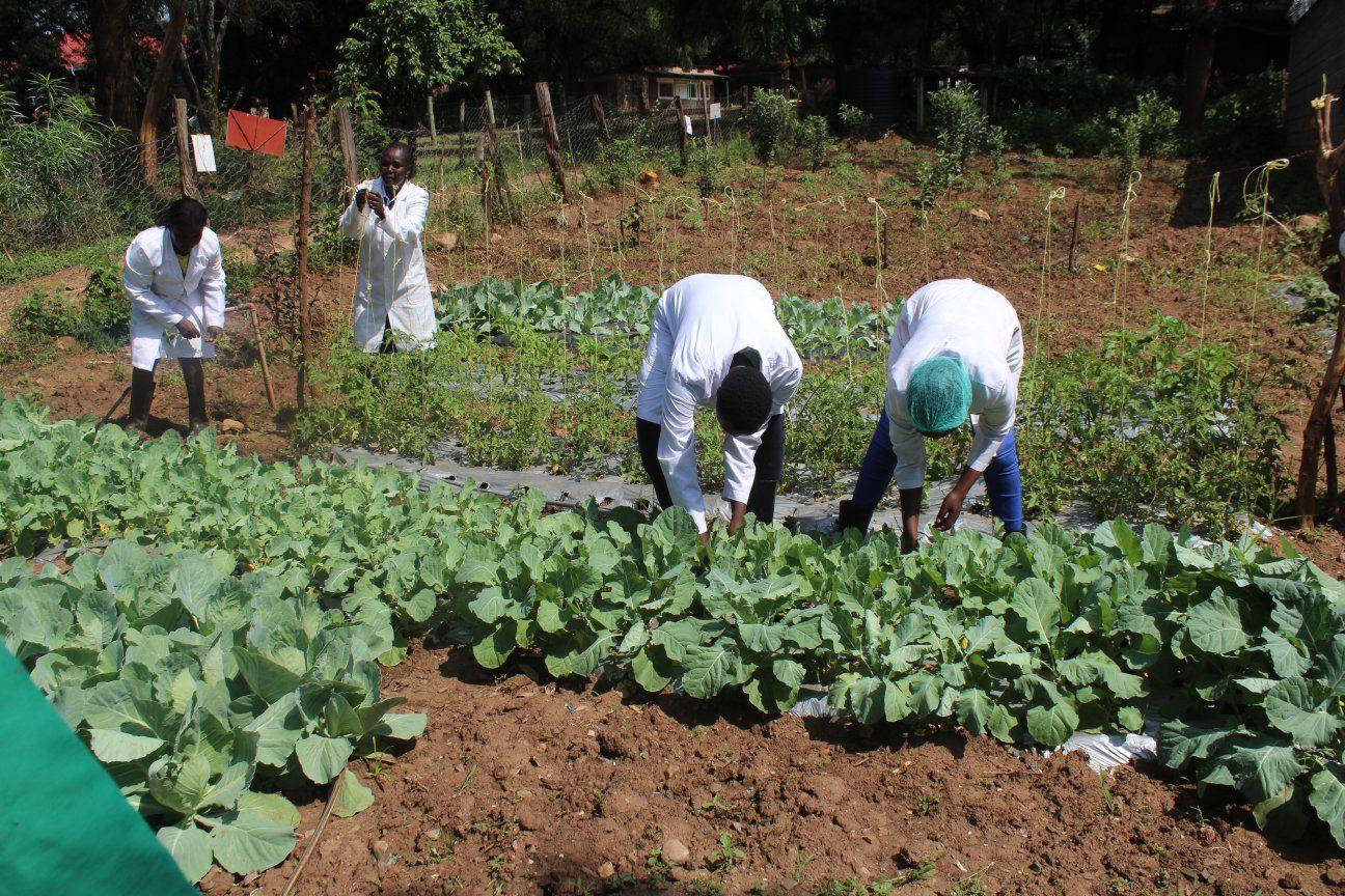 Practical Farm Training