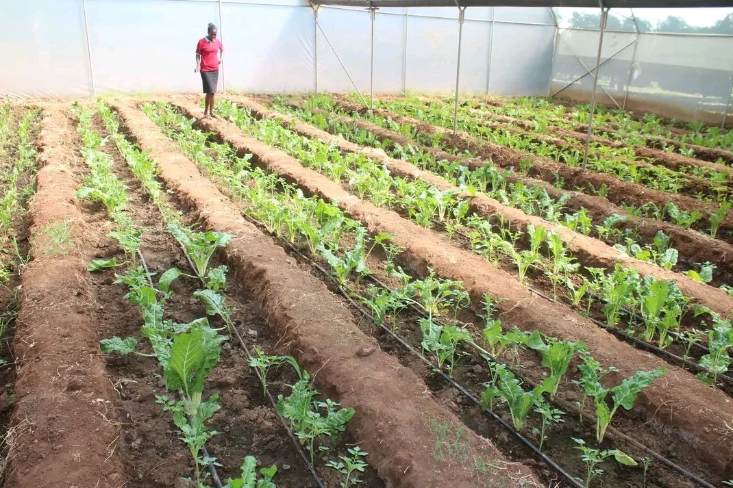 Irrigation Systems at Cheptebo