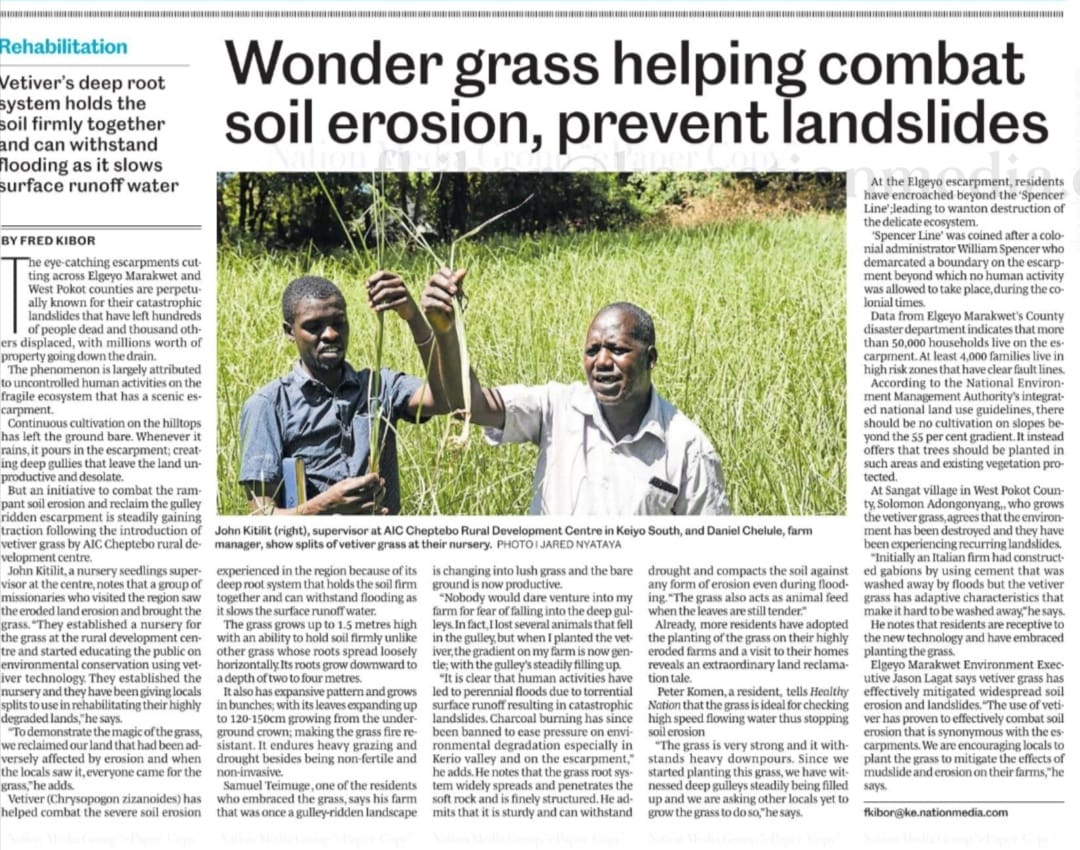 Vetiver Grass Article Published in the Daily Nation